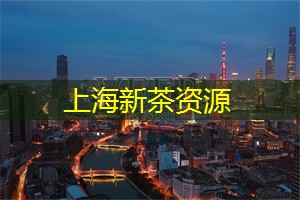 上海新茶资源：2025上海国际马拉松的精彩活动